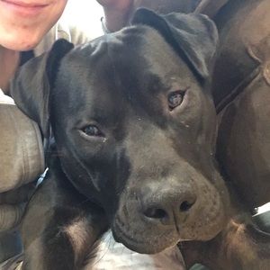 Meet your Posher, Alora